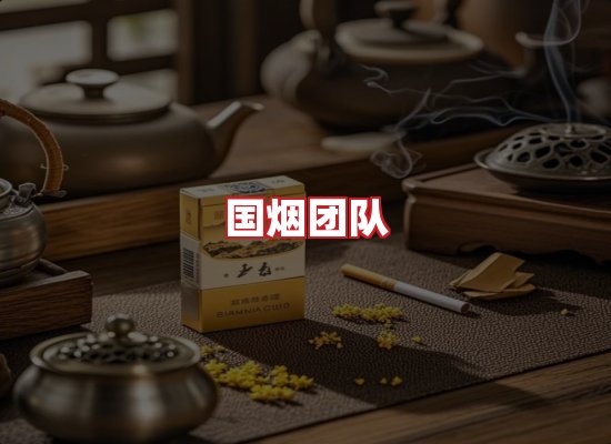 国烟团队